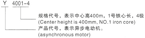 西安泰富西玛Y系列(H355-1000)高压郭河镇三相异步电机型号说明