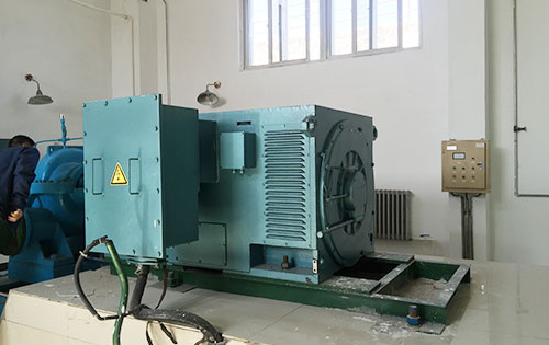 郭河镇某水电站工程主水泵使用我公司高压电机哪里有卖